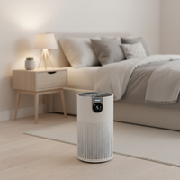 Purificateur d'air OEM ODM d'usine avec filtre HEPA au charbon actif pour éliminer la poussière, les odeurs et la fumée