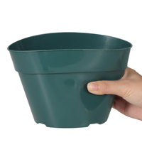 Pot Pembibitan Transparan Modern yang Diperkuat 4/6/8/10 Inci, Ramah Lingkungan dari Plastik PP, untuk Menanam Kaktus di Rumah dan Kebun