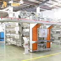 Cages pour volailles automatiques galvanisées à chaud Retech Factory Cage pour poules pondeuses type H