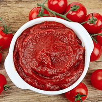 Pâte de tomate biologique double concentrée de meilleur goût Bocal frais-Aliments en bouteille pour la cuisson de divers emballages Sac Tambour Boîte en vrac Sachet