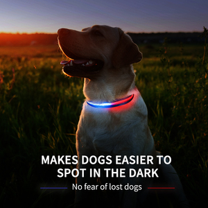 A mazon Top Seller Tipo C <span class=keywords><strong>Collar</strong></span> impermeable recargable LED perro intermitente perro <span class=keywords><strong>collar</strong></span> de luz LED - Product Image 2