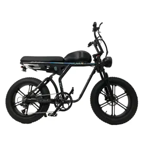 2 Chỗ 20 Inch 750W 1000W Super Ebike 73 Lốp Điện Béo Xe Đạp Leo Núi Toàn Bộ Hệ Thống Treo Xe Đạp Tuần Dương Trên Đất Ebike Xe Đạp Đi Biển