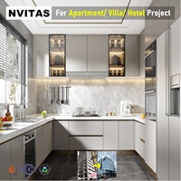 Meubles de cuisine modulaires modernes avec portes shaker en contreplaqué et comptoirs en quartz stratifié pour appartements et centres commerciaux - Personnalisables