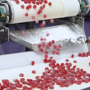 Fórmula personalizada OEM, vitaminas multigomitas para mujeres, Etiqueta Privada, suplementos de metabolismo energético, jugo de remolacha, bayas, recién nacidos - Product Image 5