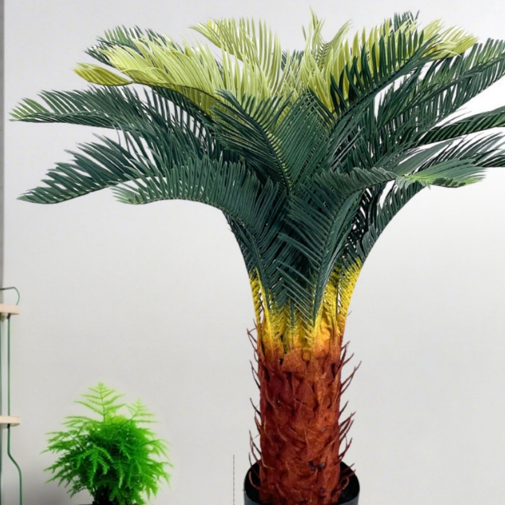 ต้นเหล็กขนาดกลาง 90 ซม.