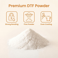Poudre adhésive TPU 3D texturée en relief pour transfert DTF sur T-shirt et vêtement, 1 kg, pour broderie et impression par transfert à chaud