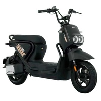 Modèle Kuma ------ Vélos électriques Ebike Moto électrique Batterie au lithium 48V 20ah Ebike Moteur 500w Vélo électrique 20 pouces