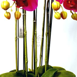 QiHao ดอกไม้ยางเทียมดอกกล้วยไม้8ก้านสำหรับจำหน่าย,ดอกกล้วยไม้ปลอมระบบสัมผัสเหมือนจริง - Product Image 3