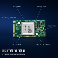 Hailo-8 26 TOPS INT8 NPU PCIe Gen3 4 Lanes PyTorch ONNX Linux Windows 10W TDP Multi Stream Edge AI Low Latency M2 AI Accelerator.