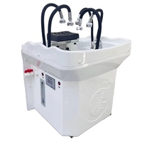 Shampooing détachable Mobile cheveux lavabo cheveux Spa shampooing bassin Thai 6D tête thérapie Portable shampooing lit