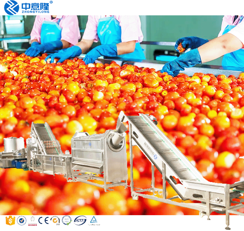 Commercial Small Tomato Paste Production Line