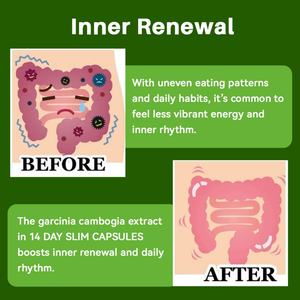 Chinaherbs Colon Weight Fast, brûleur de graisse corporelle, capsule amincissante, produits amincissants, capsule amincissante pour une silhouette parfaite - Product Image 5