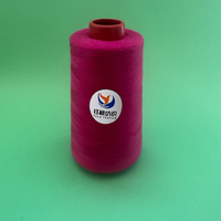 Benang Bordir Poliester 100% Elastis Tinggi 40/2 yang Dapat Disesuaikan, Tahan Lama, Bermotif Celup, untuk Mesin Bordir
