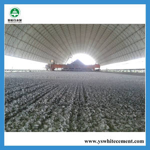 China Hersteller Günstigster Preis Weiß zement 52.5 - Product Image 6