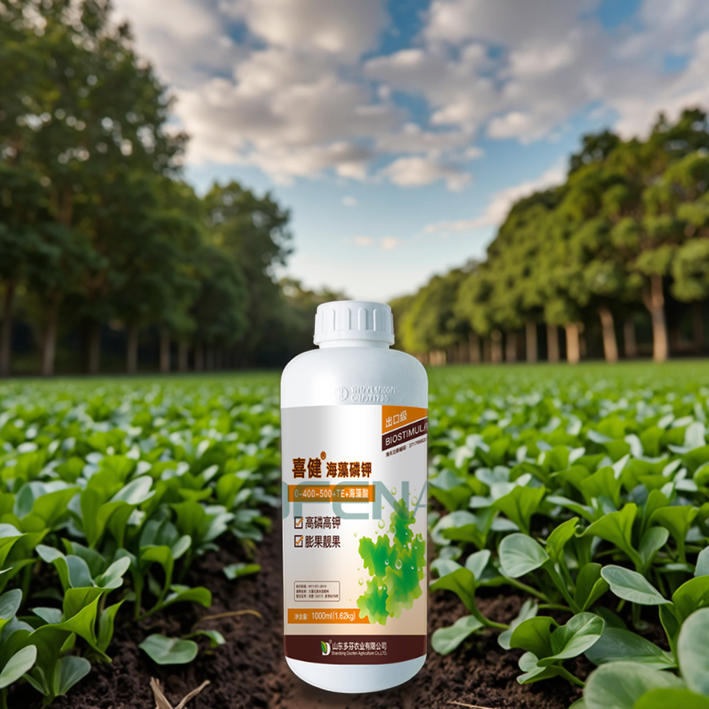 Wholesale Seaweed PK Liquid Fertilizer 0-350-450 OEM Manufacturer