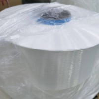 Fil mère en POLYESTER 360D/12F, fil 100% polyester pour le tissage de tricot fendu