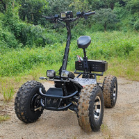Buggy de plage électrique 4x4 puissant de 12000 W, scooter tout-terrain pour adultes