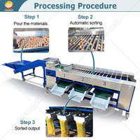 ORME Automatische Tomaten-Aardappel Sorteermachine Kleine Groente Sorteermachine Appel-Olijf Reinigings- en Sorteermachine