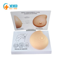 Modèle de sein en silicone pathologique pour la science médicale, produit de qualité alimentaire, modèle d'examen mammaire en silicone 3D pour la pratique, CE/ISO