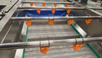 Machine à laver les légumes et les fruits multifonctionnelle automatique DZJX avec moteur pour le nettoyage des maïs, des noix et des fruits secs