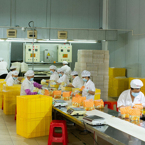บะหมี่กึ่งสำเร็จรูปแบบแห้งสไตล์จีนบะหมี่กึ่งสำเร็จรูปทำจากโรงงานจีน - Product Image 6
