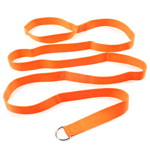 Guinzaglio di Lusso Personalizzato con <span class=keywords><strong>Logo</strong></span> del Brand, Stampa Animalier, Larghezza 2,8 cm, in Polipropilene Termoformato, per Cani, con Nastro a Tracolla e Corda di Trazione - Product Image 1