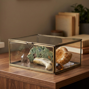 Vitrina de cristal con marco de latón para almacenamiento de cristales y fósiles - Product Image 2