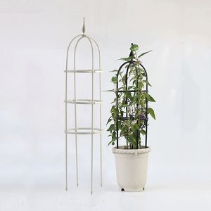 Piquet de Support de plante en forme de U réglable de haute qualité pour fleurs grimpantes tomate vigne jardin USA entrepôt - Product Image 1