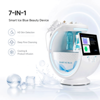 Fabrieks Smart Ice Blue Bubble H2O2 Zuurstof Gezichts Jet Huidpolijstmachine Gezichtsreiniging