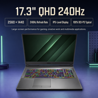 Pour ordinateur portable de jeu MSI Alpha 17 C7VF, Ryzen 9 7945HX, RTX 4060 8 Go, 17,3 pouces QHD 240 Hz, 16 Go, 1 To SSD, ordinateurs portables de jeu neufs