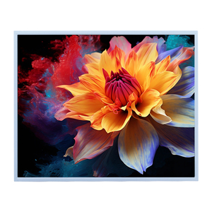 AUO G190EG02 V1 300cd/m² โมดูลจอแสดงผล TFT LCD 19.0" มุมมองภาพเต็มรูปแบบจอแสดงผลควบคุมอุตสาหกรรมสำหรับการแพทย์และอุปกรณ์ - Product Image 4