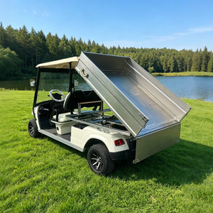Voitures de golf électriques personnalisées, 2 places, véhicule chinois pas cher - Product Image 1