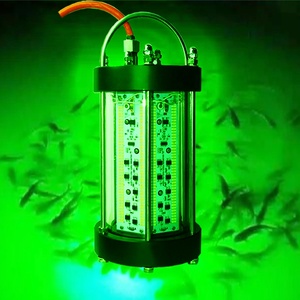 AC220V 800W 1000W <span class=keywords><strong>carpfishing</strong></span> heavt duty luces de pesca azul - Product Image 6