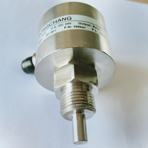 ステンレス製電子式プラグイン流量計（水、油、ガス、防火用、水槽向け） - Product Image 1