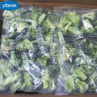 Broccoli Congelati IQF in Fioretti, Vendita all'Ingrosso, Qualità Premium, Prezzo di Fabbrica, Etichetta Privata, OEM, Standard Export, Fornitore B2B