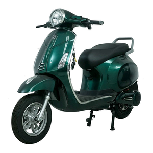 Vélo électrique Paige 1000W à bas prix, trottinette électrique à guidon large, système de moto électrique, kit vélo enfant, prix 1000W pour hommes - Product Image 1