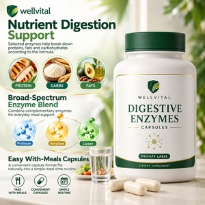 Vente en gros de 60 capsules d'<span class=keywords><strong>enzymes</strong></span> <span class=keywords><strong>digestives</strong></span> faciles à avaler pour soulager les gaz et les <span class=keywords><strong>ballonnements</strong></span> - Product Image 2