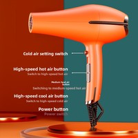 Sèche-cheveux professionnel domestique à température constante 2000W haute puissance, 3 vitesses, buse à jet unique, ions négatifs, protection contre la surchauffe
