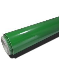 Vinilo Autoadhesivo Anolly sin Burbujas, Vinilo de Color para Plotter de Corte, Adhesivo Brillante