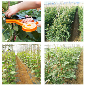 Herramienta para atar ramas de uvas, enredadera, verduras, tomates, atado de plantas, cinta de jardín - Product Image 4