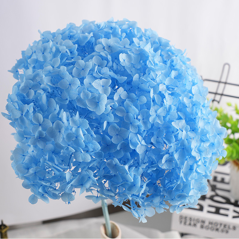 bleu vif