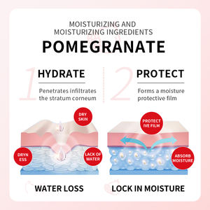 OEM Offres Spéciales Vente en gros Marque privée SADOER Grenade Crème contour des yeux rajeunissante fraîche Hydrate et améliore la sécheresse des peaux sèches - Product Image 5