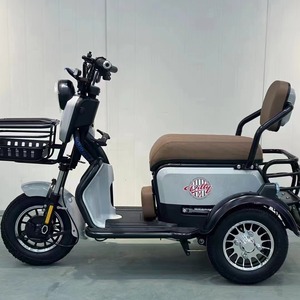Tricycle électrique agréable, capacité de charge 200 kg, autonomie 50 km, moteur différentiel, carrosserie ouverte, pour usage familial - Product Image 2