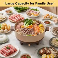 Casserole électrique multifonctionnelle 1500W pour fruits de mer, petite et rapide, idéale pour la famille