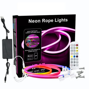 Tuya Wifi Control remoto Smart RGBIC Dream Color Flex Silicone Led Neon Light Strip para boda Tv Background Work con Alexa - Product Image 3