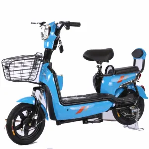山东厂家批发成人两轮充电电池汽车锂电池电动自行车