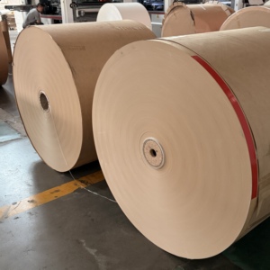 Papier de base enduit de PE de qualité alimentaire, rouleau jumbo, imperméable, pour la fabrication de gobelets en papier jetables et de bols à salade - Product Image 6