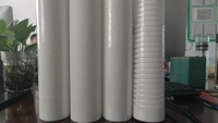 Élément filtrant à rainures DM PP personnalisé 30L/H 28x60x762mm pour traitement de l'eau en cuve sous pression, filtration 1-100UM 220V