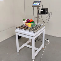Balance à rouleaux de convoyeur de haute qualité de 300kg en acier inoxydable avec indicateur LCD et peseuse de contrôle d'imprimante