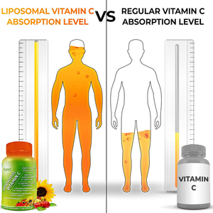 Vitamina C liposomal vegana de alta calidad de marca privada para estimular el metabolismo, refuerzo inmunológico y apoyo a la absorción de calcio en cápsulas blandas. - Product Image 3